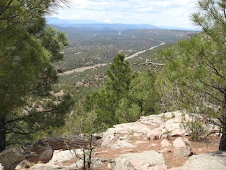 140 Apache Mesa S, Las Vegas, NM 87701