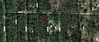 00 NE 67th Ave, Citra, FL 32113