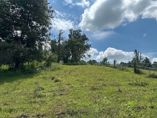 21 Joy Hughes Ln, Leicester, NC 28748