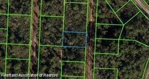 718 Neale St, Lake Placid, FL 33852