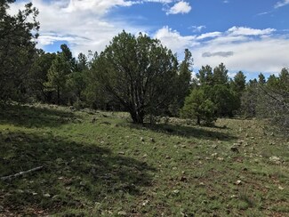 0 Apache Co Rd 3140 Unit 222314, Vernon, AZ 85940