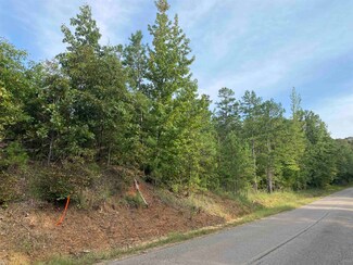 0 Gann Rd, Selmer, TN 38375