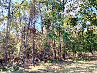 TBD 4.6+/-AC County Road 2310, Woodville, TX 75979