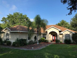 15020 Grace Ridge Rd, Ferndale, FL 34729