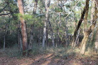 327 Coral Gables, Trinity, TX 75862