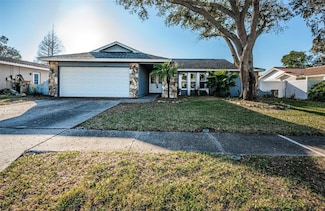 435 Laughing Gull Ln, Palm Harbor, FL 34683