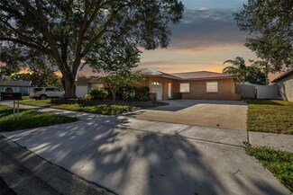 432 Evergreen Dr, Oldsmar, FL 34677