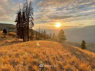 160 Chelan Hills Acres Rd, Orondo, WA 98816