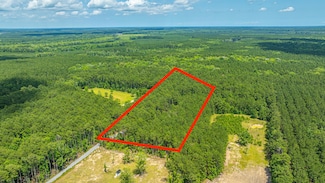 6774 Spring Grove Rd, Adams Run, SC 29426