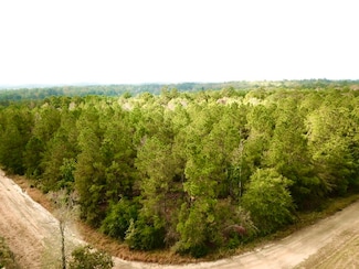 TBD County Road 2310, Woodville, TX 75979