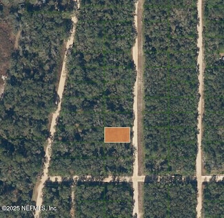 741 Gloria Ave, Interlachen, FL 32148
