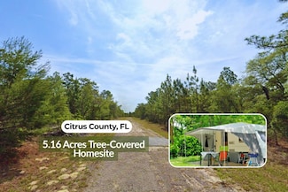 1208 W Pendleton St, Citrus Springs, FL 34434