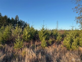 380 Hawkins Rd, Winlock, WA 98596