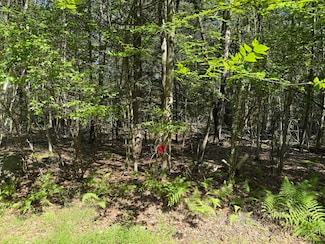 0 Fawn Rd, Lords Valley, PA 18428