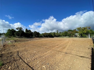 0 Calle Hucar Unit Parcela 2C PR9096716, Cayey, PR 00736