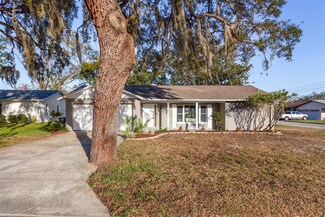 10514 Calico Loop, Port Richey, FL 34668