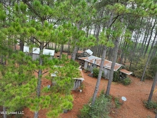 D A Dyess Rd, Carson, MS 39427