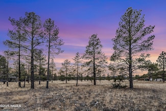 3353 N Cazadero Trail, Flagstaff, AZ 86001