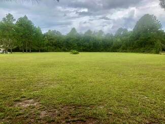 00 Philip Rd 2 Acres, Blackshear, GA 31516