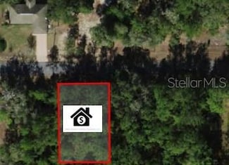 11908 N Monica Dr, Dunnellon, FL 34433
