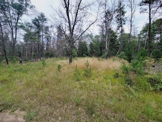 V/L S James Rd, Baldwin, MI 49304