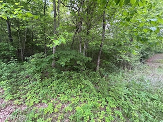 0 Hensley Rd, Jamestown, TN 38556