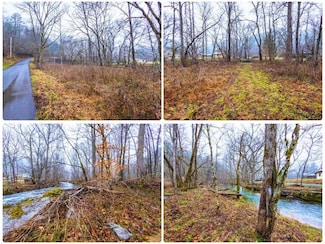 1392 Rocky Flats Rd, Cosby, TN 37722