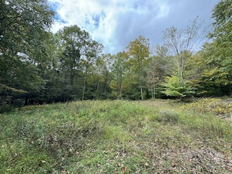 0 Twisted Ln Unit LotWP001 19985573, Monroe Township, PA 18657