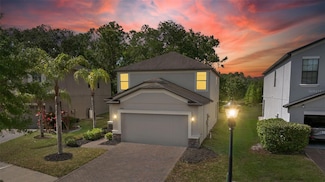 9908 Spice Bush Ct, Tampa, FL 33647