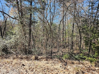 000 Apple Rd, Merriam Woods, MO 65740