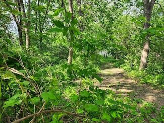 0 Gingers Dr Unit 1997289, Orion, WI 53573