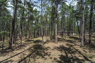 17960 Smugglers Rd Unit 17, Monument, CO 80132