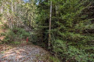 Lot 18 Desear Way, Lompico, CA 95018