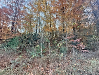 Lot 42/43 Deerfoot Rd, Newport, TN 37821
