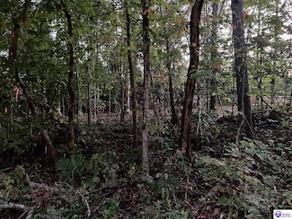 0 Rock Creek Rd, Leitchfield, KY 42754