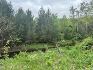 301 Whipporwill Rd, Tunkhannock, PA 18657