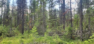 9295 U S 93, Olney, MT 59927
