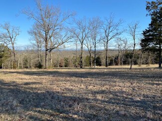 1369 Lake Ranch Rd, Kissee Mills, MO 65680