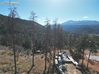 1430 Red Haven Place, Woodland Park, CO 80863