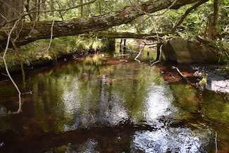 11542 Newald Rd, Fence, WI