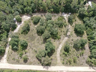 *Lot 57* Vacant NE Blackjack Loop Unit 1, Lee, FL 32059