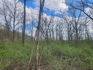 Lot 1 Elizabeth St, Orion, WI 53573