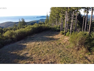 0 China Mountain Rd Unit 24406347, Port Orford, OR 97465