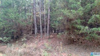 0 Cook Rd Unit 2 799843, Equality, AL 36026