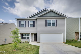 1316 Clark Point Rd, Kingsport, TN 37660