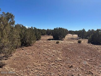 30 Cr 8051 Rd Unit 8051, Concho, AZ 85924