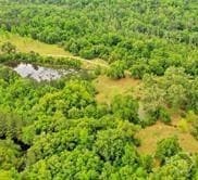 0 S Coastal Hwy, Riceboro, GA 31323