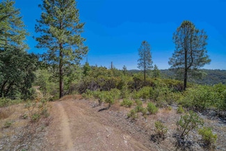 0 Ponderosa Way, Big Oak Flat, CA 95321