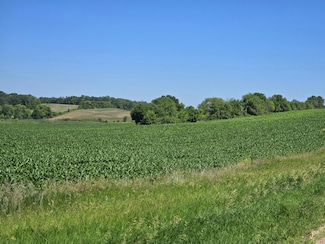 TBD County Highway 83, Battle Lake, MN 56515