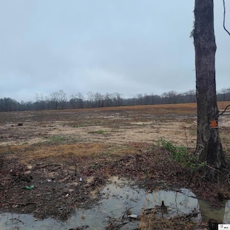 04 Stubbs Vinson Rd, Monroe, LA 71203